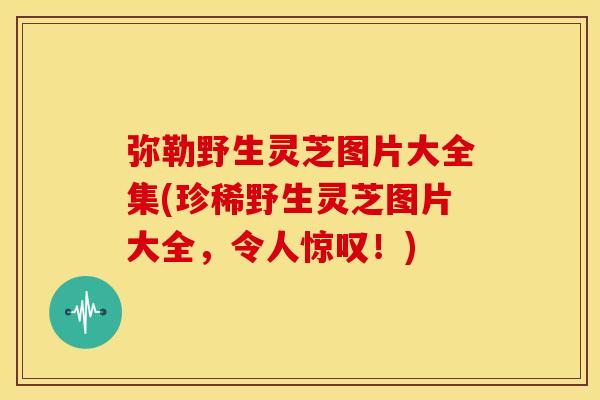 弥勒野生灵芝图片大全集(珍稀野生灵芝图片大全,令人惊叹!) 弥勒野生灵芝图片大全集(珍稀野生灵芝图片大全,令人惊叹!)