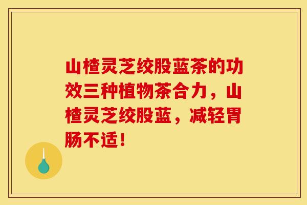 山楂灵芝绞股蓝茶的功效三种植物茶合力，山楂灵芝绞股蓝，减轻不适！