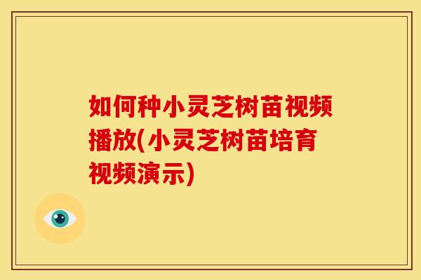 如何种小灵芝树苗视频播放(小灵芝树苗培育视频演示) 如何种小灵芝树苗视频播放(小灵芝树苗培育视频演示)