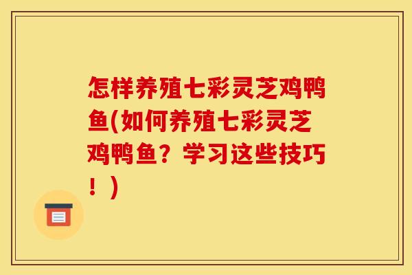 怎样养殖七彩灵芝鸡鸭鱼(如何养殖七彩灵芝鸡鸭鱼?学习这些技巧!) 怎样养殖七彩灵芝鸡鸭鱼(如何养殖七彩灵芝鸡鸭鱼?学习这些技巧!)