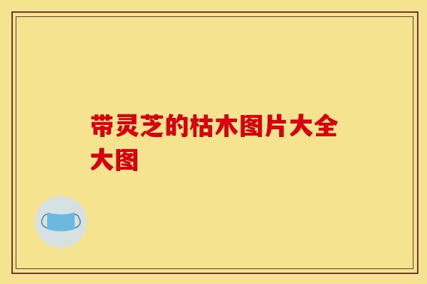 带灵芝的枯木图片大全大图 带灵芝的枯木图片大全大图