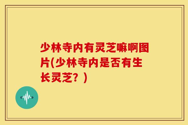 少林寺内有灵芝嘛啊图片(少林寺内是否有生长灵芝？)