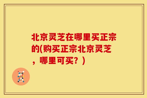 北京灵芝在哪里买正宗的(购买正宗北京灵芝,哪里可买?) 北京灵芝在哪里买正宗的(购买正宗北京灵芝,哪里可买?)