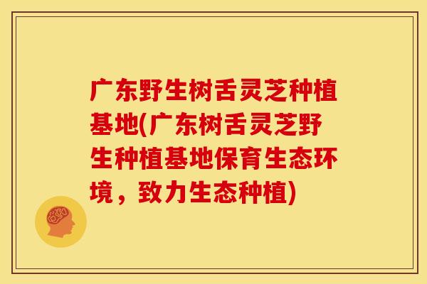 广东野生树舌灵芝种植基地(广东树舌灵芝野生种植基地保育生态环境,致力生态种植) 广东野生树舌灵芝种植基地(广东树舌灵芝野生种植基地保育生态环境,致力生态种植)
