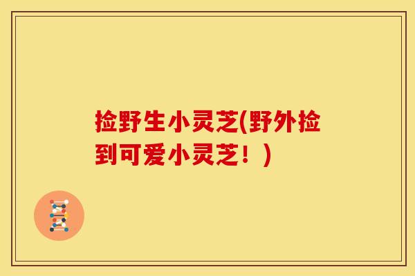 捡野生小灵芝(野外捡到可爱小灵芝！)