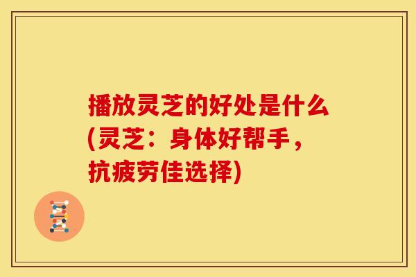 播放灵芝的好处是什么(灵芝：身体好帮手，佳选择)