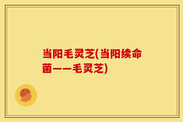当阳毛灵芝(当阳续命菌——毛灵芝)