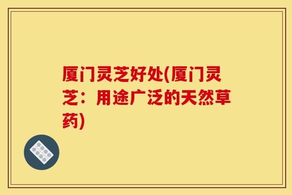 厦门灵芝好处(厦门灵芝：用途广泛的天然草药)