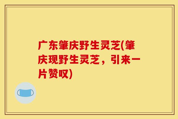 广东肇庆野生灵芝(肇庆现野生灵芝,引来一片赞叹) 广东肇庆野生灵芝(肇庆现野生灵芝,引来一片赞叹)