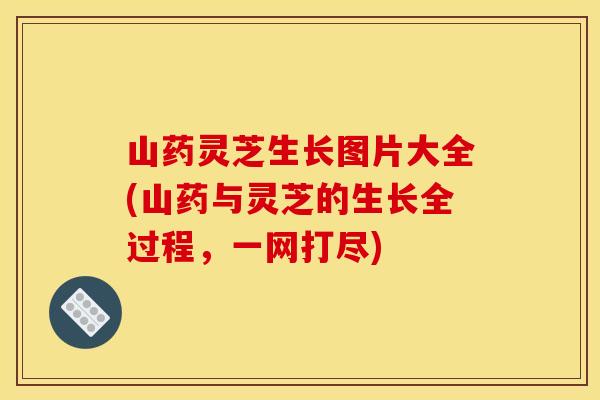 山药灵芝生长图片大全(山药与灵芝的生长全过程，一网打尽)