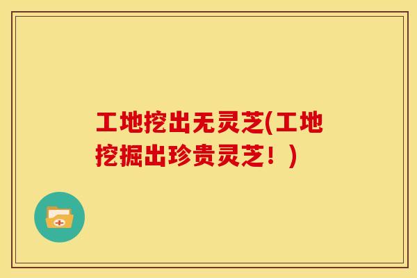 工地挖出无灵芝(工地挖掘出珍贵灵芝！)