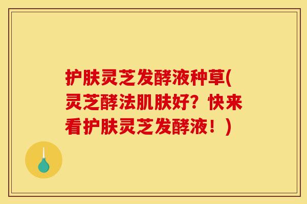 护肤灵芝发酵液种草(灵芝酵法好?快来看护肤灵芝发酵液!) 护肤灵芝发酵液种草(灵芝酵法好?快来看护肤灵芝发酵液!)