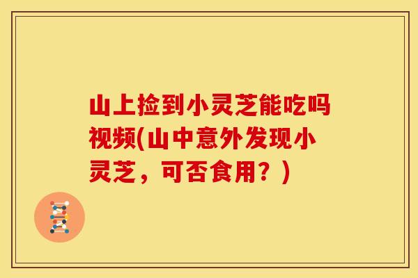 山上捡到小灵芝能吃吗视频(山中意外发现小灵芝,可否食用?) 山上捡到小灵芝能吃吗视频(山中意外发现小灵芝,可否食用?)