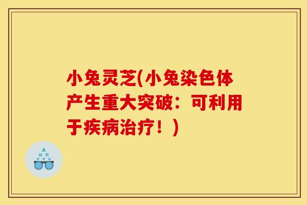 小兔灵芝(小兔染色体产生重大突破:可利用于!) 小兔灵芝(小兔染色体产生重大突破:可利用于!)