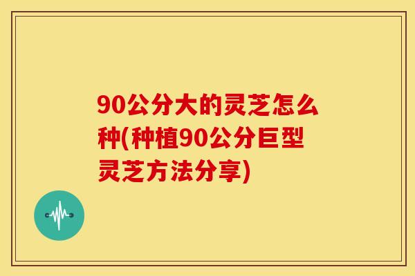 90公分大的灵芝怎么种(种植90公分巨型灵芝方法分享)