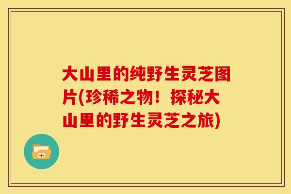 大山里的纯野生灵芝图片(珍稀之物！探秘大山里的野生灵芝之旅)