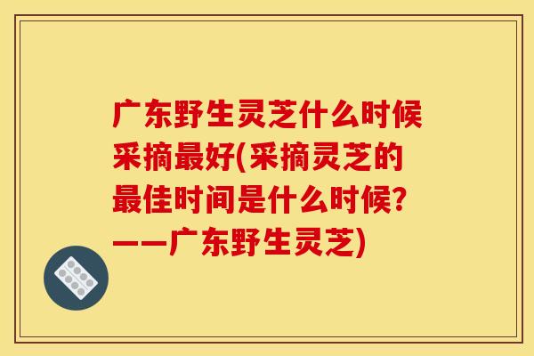 广东野生灵芝什么时候采摘最好(采摘灵芝的最佳时间是什么时候？——广东野生灵芝)