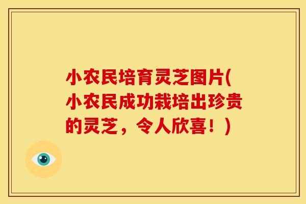 小农民培育灵芝图片(小农民成功栽培出珍贵的灵芝，令人欣喜！)