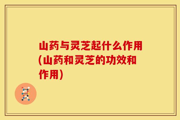 山药与灵芝起什么作用(山药和灵芝的功效和作用)