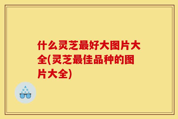 什么灵芝好大图片大全(灵芝佳品种的图片大全) 什么灵芝好大图片大全(灵芝佳品种的图片大全)