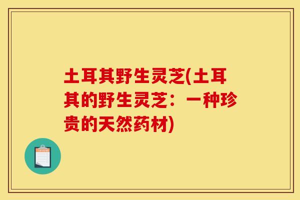 土耳其野生灵芝(土耳其的野生灵芝：一种珍贵的天然药材)