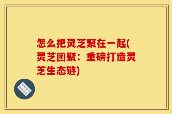 怎么把灵芝聚在一起(灵芝团聚：重磅打造灵芝生态链)