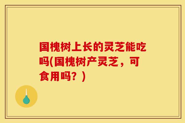 国槐树上长的灵芝能吃吗(国槐树产灵芝，可食用吗？)
