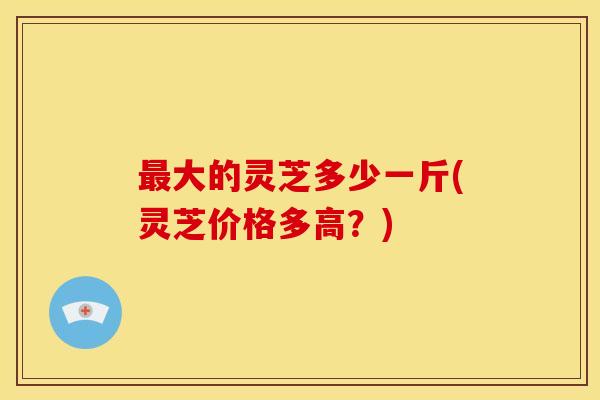 大的灵芝多少一斤(灵芝价格多高？)