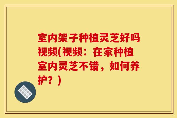 室内架子种植灵芝好吗视频(视频：在家种植室内灵芝不错，如何养护？)