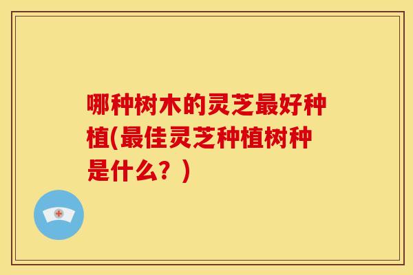 哪种树木的灵芝好种植(佳灵芝种植树种是什么?) 哪种树木的灵芝好种植(佳灵芝种植树种是什么?)