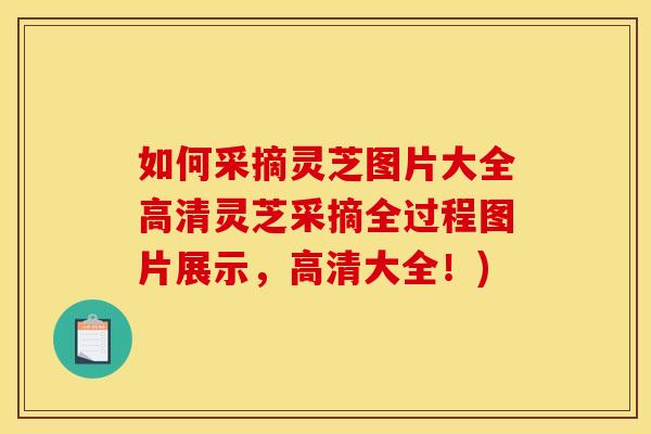 如何采摘灵芝图片大全高清灵芝采摘全过程图片展示，高清大全！)