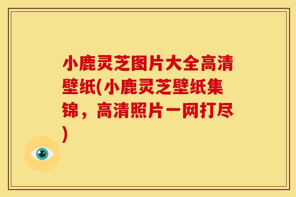 小鹿灵芝图片大全高清壁纸(小鹿灵芝壁纸集锦,高清照片一网打尽) 小鹿灵芝图片大全高清壁纸(小鹿灵芝壁纸集锦,高清照片一网打尽)