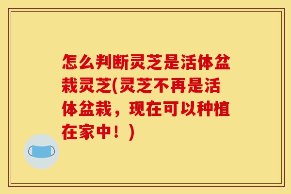 怎么判断灵芝是活体盆栽灵芝(灵芝不再是活体盆栽,现在可以种植在家中!) 怎么判断灵芝是活体盆栽灵芝(灵芝不再是活体盆栽,现在可以种植在家中!)