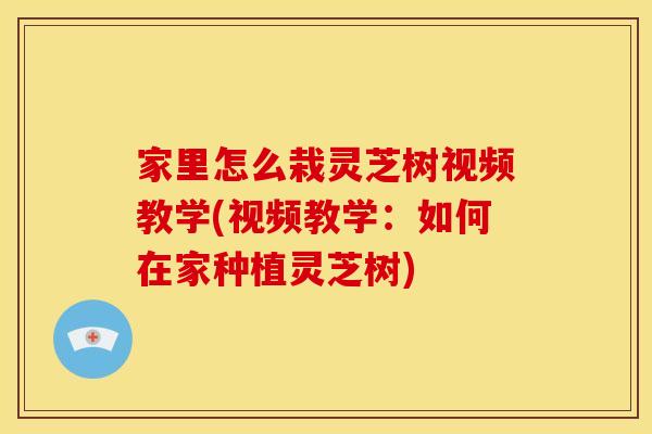 家里怎么栽灵芝树视频教学(视频教学：如何在家种植灵芝树)