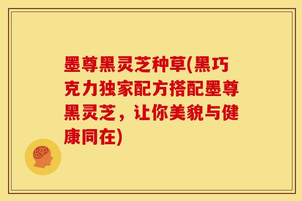 墨尊黑灵芝种草(黑巧克力独家配方搭配墨尊黑灵芝，让你美貌与健康同在)