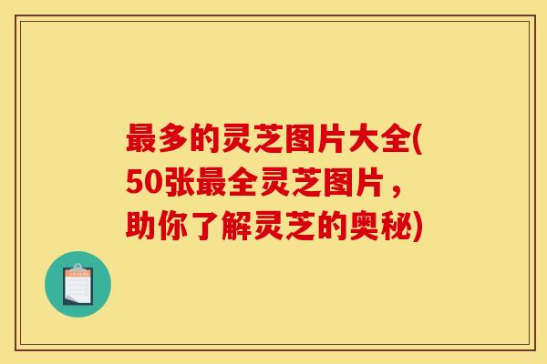 多的灵芝图片大全(50张全灵芝图片，助你了解灵芝的奥秘)