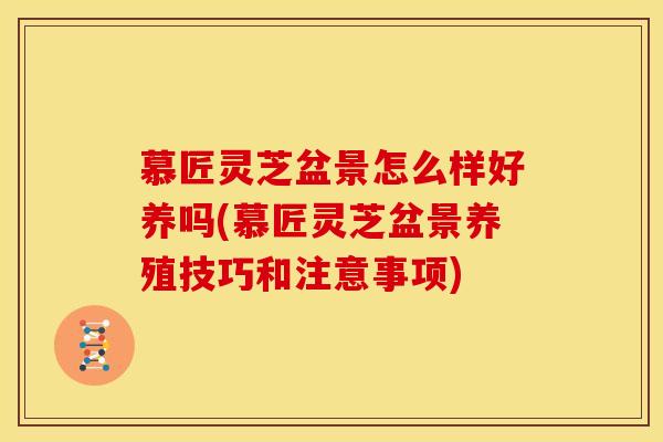 慕匠灵芝盆景怎么样好养吗(慕匠灵芝盆景养殖技巧和注意事项) 慕匠灵芝盆景怎么样好养吗(慕匠灵芝盆景养殖技巧和注意事项)