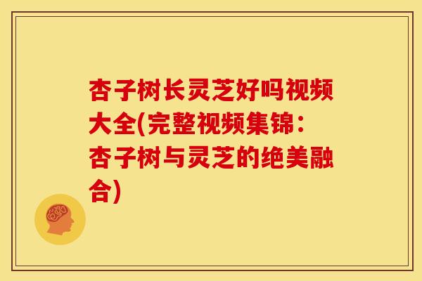 杏子树长灵芝好吗视频大全(完整视频集锦:杏子树与灵芝的绝美融合) 杏子树长灵芝好吗视频大全(完整视频集锦:杏子树与灵芝的绝美融合)
