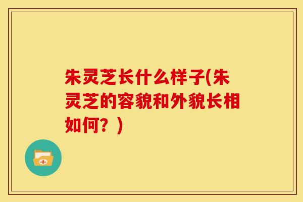 朱灵芝长什么样子(朱灵芝的容貌和外貌长相如何?) 朱灵芝长什么样子(朱灵芝的容貌和外貌长相如何?)