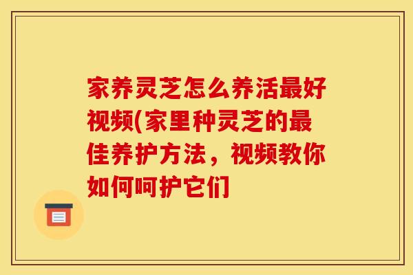 家养灵芝怎么养活好视频(家里种灵芝的佳养护方法,视频教你如何呵护它们 家养灵芝怎么养活好视频(家里种灵芝的佳养护方法,视频教你如何呵护它们