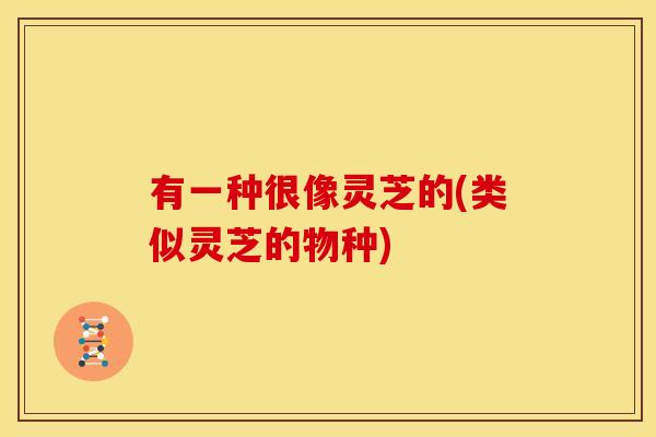 有一种很像灵芝的(类似灵芝的物种) 有一种很像灵芝的(类似灵芝的物种)