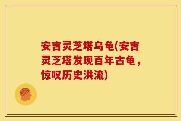 安吉灵芝塔乌龟(安吉灵芝塔发现百年古龟，惊叹历史洪流)