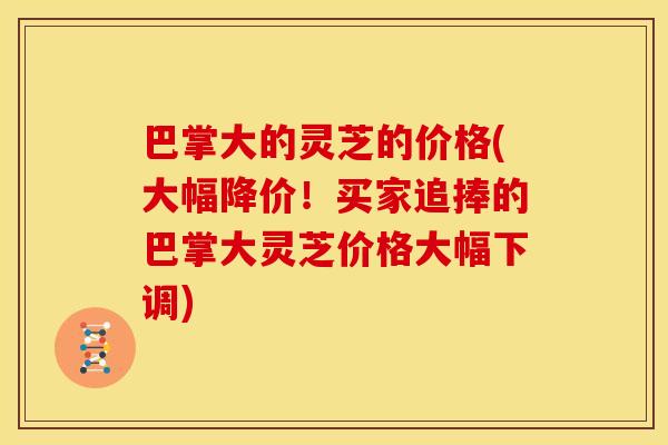 巴掌大的灵芝的价格(大幅降价!买家追捧的巴掌大灵芝价格大幅下调) 巴掌大的灵芝的价格(大幅降价!买家追捧的巴掌大灵芝价格大幅下调)