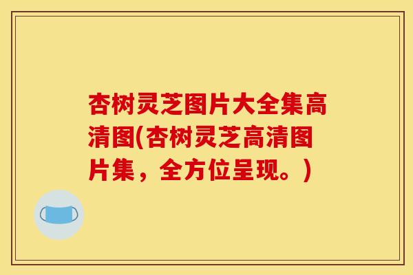 杏树灵芝图片大全集高清图(杏树灵芝高清图片集,全方位呈现。) 杏树灵芝图片大全集高清图(杏树灵芝高清图片集,全方位呈现。)