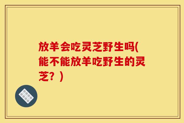 放羊会吃灵芝野生吗(能不能放羊吃野生的灵芝?) 放羊会吃灵芝野生吗(能不能放羊吃野生的灵芝?)
