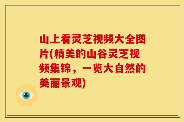 山上看灵芝视频大全图片(精美的山谷灵芝视频集锦,一览大自然的美丽景观) 山上看灵芝视频大全图片(精美的山谷灵芝视频集锦,一览大自然的美丽景观)