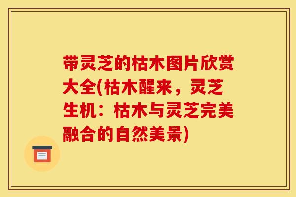 带灵芝的枯木图片欣赏大全(枯木醒来,灵芝生机:枯木与灵芝完美融合的自然美景) 带灵芝的枯木图片欣赏大全(枯木醒来,灵芝生机:枯木与灵芝完美融合的自然美景)
