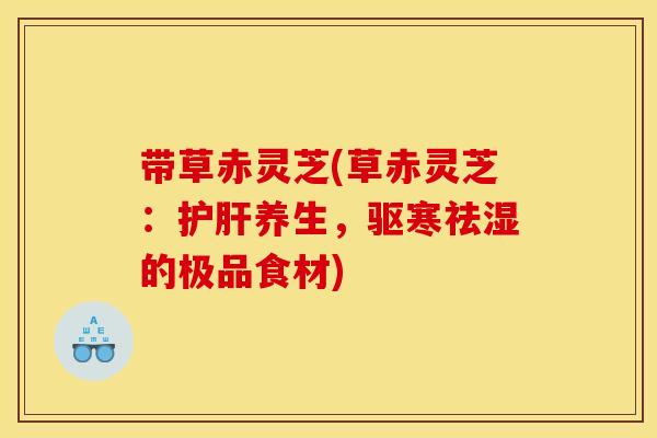 带草赤灵芝(草赤灵芝:养生,驱寒祛湿的极品食材) 带草赤灵芝(草赤灵芝:养生,驱寒祛湿的极品食材)