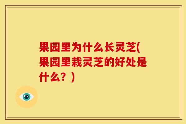 果园里为什么长灵芝(果园里栽灵芝的好处是什么?) 果园里为什么长灵芝(果园里栽灵芝的好处是什么?)