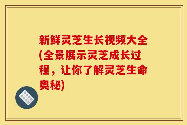 新鲜灵芝生长视频大全(全景展示灵芝成长过程,让你了解灵芝生命奥秘) 新鲜灵芝生长视频大全(全景展示灵芝成长过程,让你了解灵芝生命奥秘)